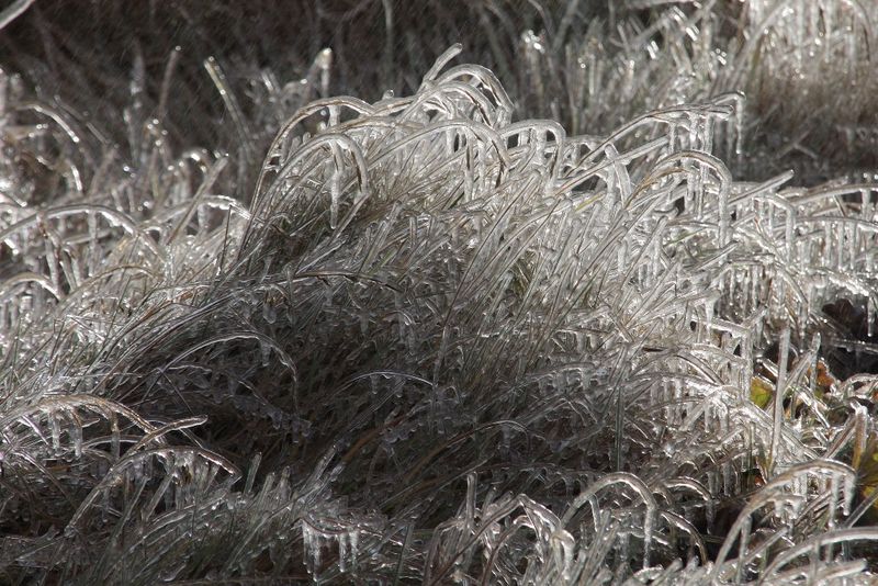 20101019_IcelandTrip-75